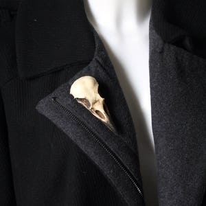 Crow skull pin Replica resin bird skull brooch goth Victorian taxidermy jewellery gift by Peculiar by Nature on Etsy image 4