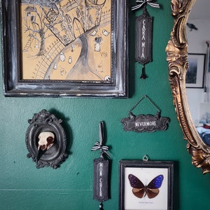 May include: A green wall with various black framed artwork and decorative items. The artwork includes a black and white drawing of a spooky house, a framed butterfly specimen, and a framed skull. The decorative items include black and white signs with the words "Nevermore", "Caramia", and "Mon Cheer".