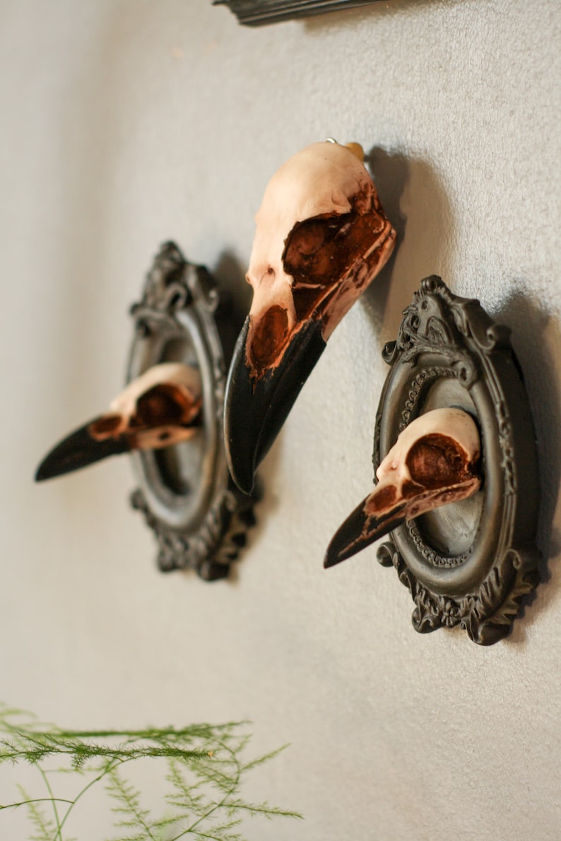 Framed Magpie Skull, 3D Gothic Wall Art, Halloween Home decor image 7