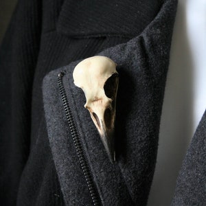 Crow skull pin Replica resin bird skull brooch goth Victorian taxidermy jewellery gift by Peculiar by Nature on Etsy image 1