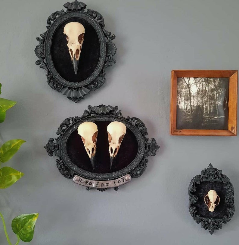 Framed Crow Skull, gothic home decor wall hanging, Halloween decoration, bird skull eco resin replica, Black Victorian macabre bat frame image 3