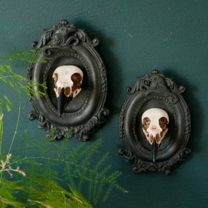 Framed Crow & Magpie Skull Wall Art: Gothic Home Decor Set