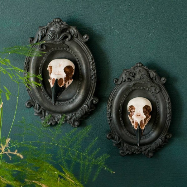 Framed Crow & Magpie Skull Wall Art: Gothic Home Decor Set