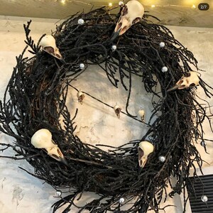 Raven, Crow, Magpie, Jackdaw replica bird skulls bundle Corvus collection, gothic home decor, Halloween decorations image 7