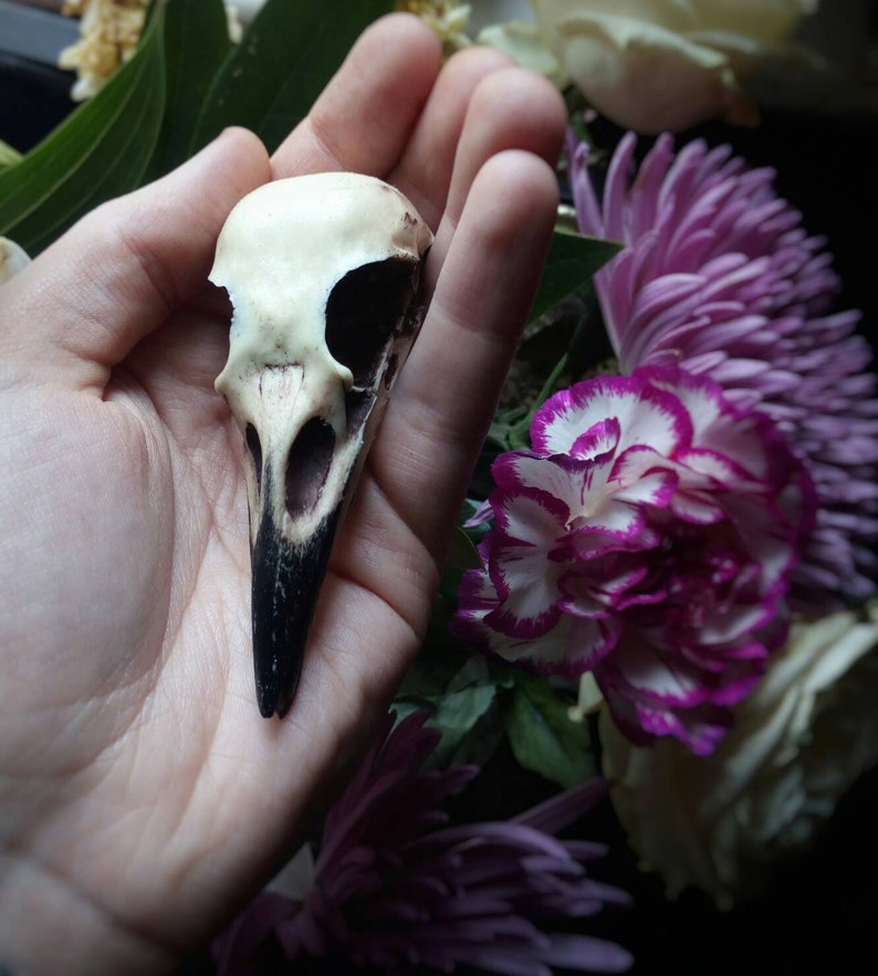 goth Victorian taxidermy jewellery gift by Peculiar by Nature on Etsy Crow skull pin Replica resin bird skull brooch