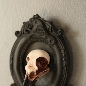 Framed Magpie Skull, 3D Gothic Wall Art, Halloween Home decor image 8