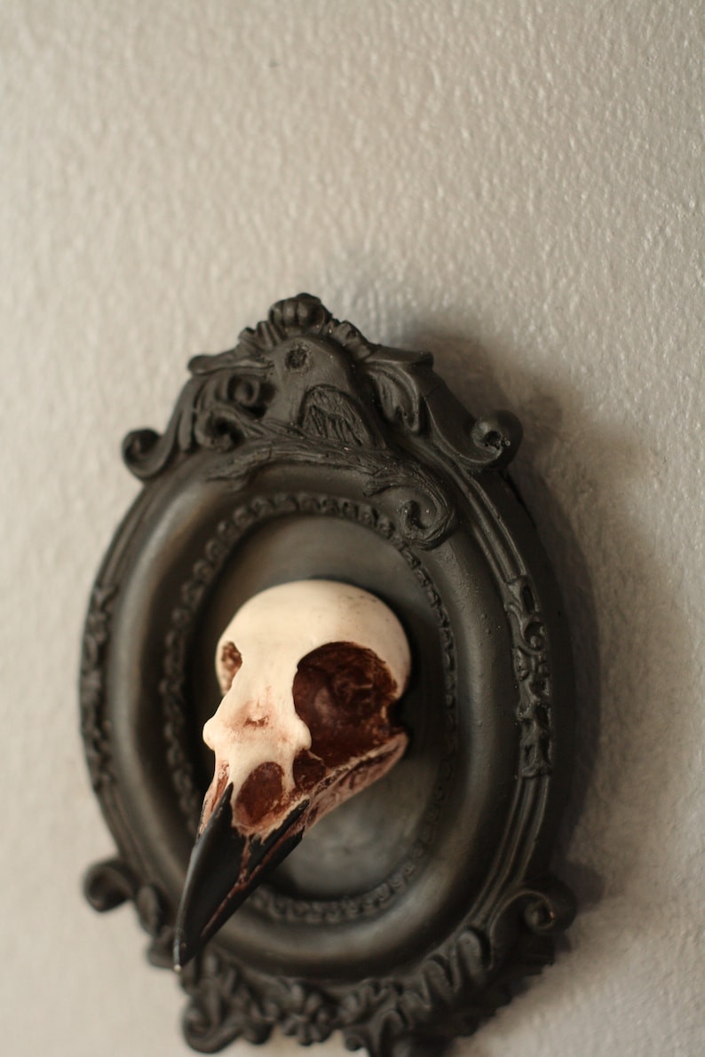 Framed Magpie Skull, 3D Gothic Wall Art, Halloween Home decor image 8