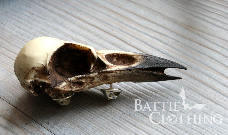 Crow skull pin Replica resin bird skull brooch goth Victorian taxidermy jewellery gift by Peculiar by Nature on Etsy image 6