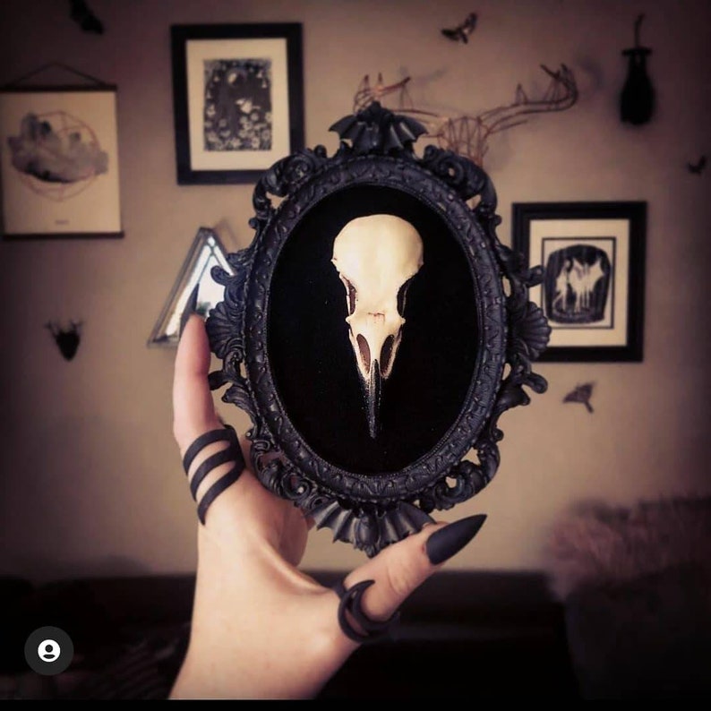 Framed Crow Skull, gothic home decor wall hanging, Halloween decoration, bird skull eco resin replica, Black Victorian macabre bat frame image 2