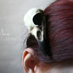 crow skull hair clip replica resin bird skull goth witch hair accessory image 3