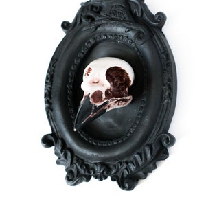 Framed Magpie Skull, 3D Gothic Wall Art, Halloween Home decor image 6