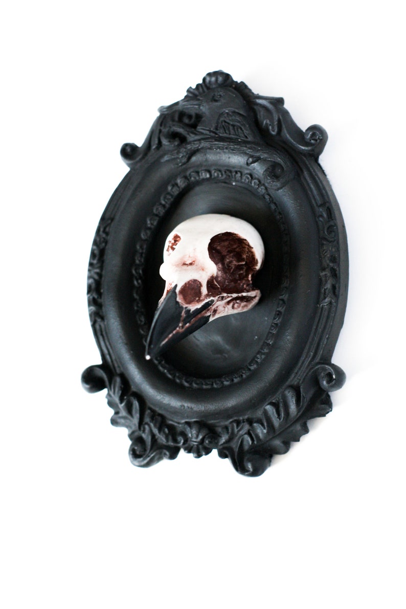 Framed Magpie Skull, 3D Gothic Wall Art, Halloween Home decor image 6