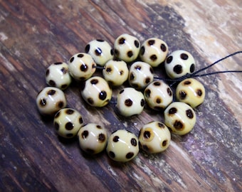 Black on Bone Marrow Skunks