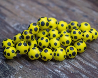 Black on Yellow Skunks