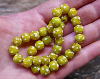 Yarrow Yellow Skunks