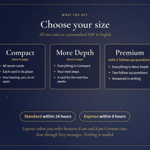 Pu&ograve; includere: Un grafico informativo blu scuro intitolato Choose your size, che descrive tre livelli di servizio: Compact, More Depth e Premium. Ogni riquadro elenca il numero di pagine e i contenuti. In basso, dei pulsanti indicano Standard within 24 hours e Express within 8 hours.