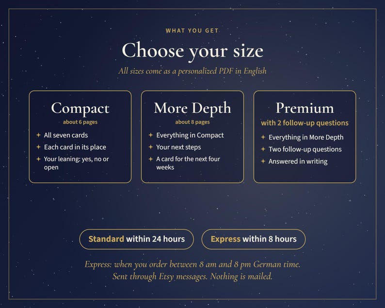 Pu&ograve; includere: Un grafico informativo blu scuro intitolato Choose your size, che descrive tre livelli di servizio: Compact, More Depth e Premium. Ogni riquadro elenca il numero di pagine e i contenuti. In basso, dei pulsanti indicano Standard within 24 hours e Express within 8 hours.