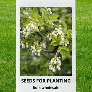 May include: A white ceramic mug with a black handle and the text "But First, Coffee" in a black, handwritten-style font. The mug is on a white surface.