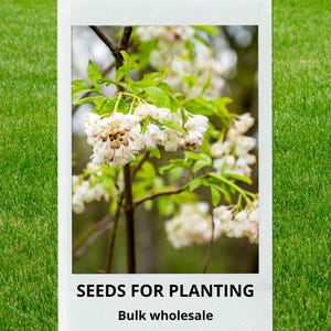 May include: A white ceramic mug with a black handle and the text "But First, Coffee" in a bold, black font. The mug is set against a neutral background, highlighting its simple design.