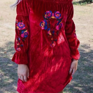 farm rio embroidered velvet mini dress Calla Velvet Mini Dress in Black Blossom Embroidery Blue