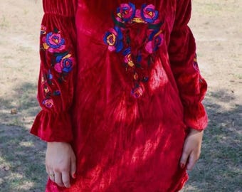 Rio Grande Embroidered Velvet Tunic Dress