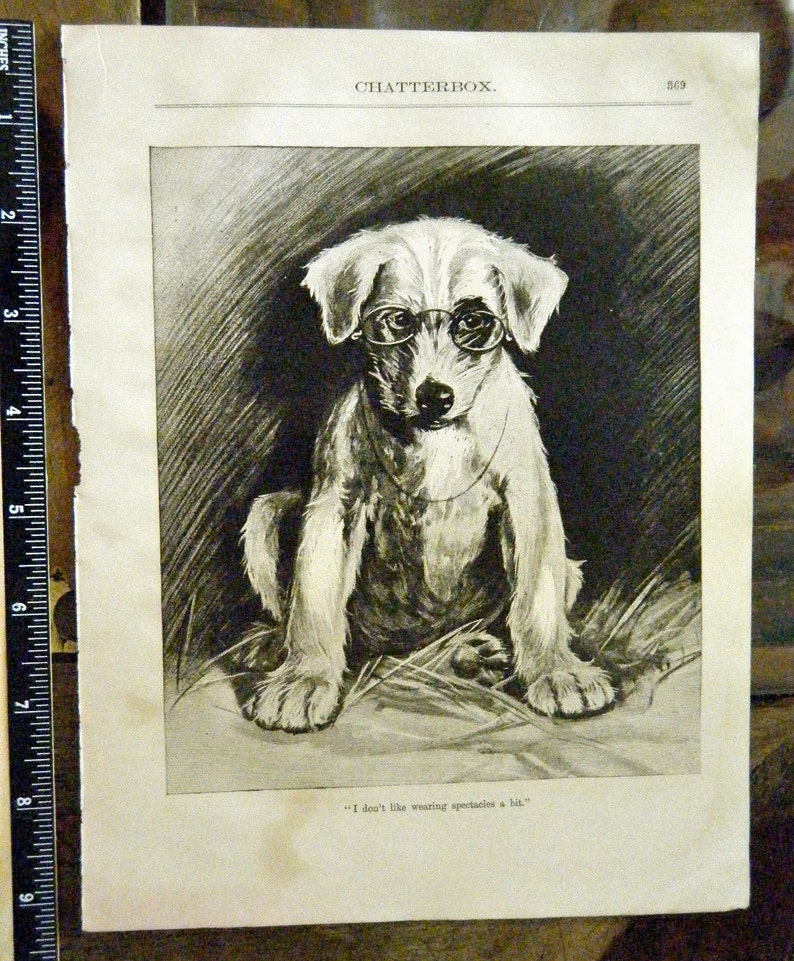 Gift for Dog Lover with Poem Antique Etching of Puppy Dog Wearing Glasses Original Victorian Era Etching Lithograph The Professor