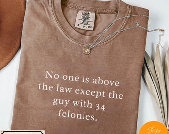 Sarcastic Legal Humor Shirt, Comfort Colors Top - Guy with 34 Felonies Print - Political Shirt