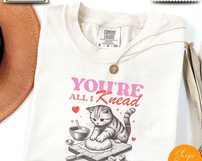 Comfort Colors®  “If You Look for Perfection” – Tolstoy Quote Tee