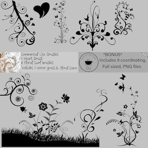 Floral Swirls  9 Commercial and Personal use brushes for photoshop