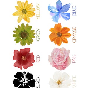 A4 Children&#39;s Nature Colour Poster