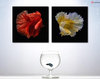Juego de dos lienzos con diseño de pez betta, lámina artística de pez luchador siamés con colores vibrantes, decoración para amantes del arte acuático, hermoso cuadro de pared de dos piezas con diseño de peces marinos.