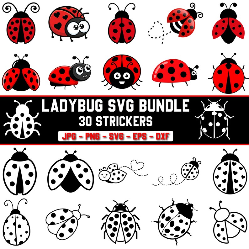 Ladybug SVG Bundle | Cute Ladybug PNG SVG | Layered Lady Bug Clipart ...