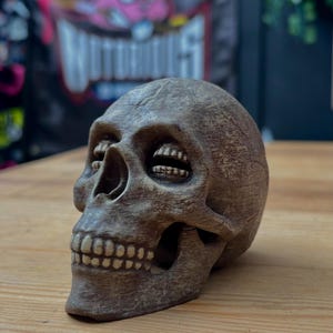 The Corinthian Skull / The Sandman / Movie Gift