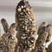 Frozen Chocolate-covered Bananas Recipe | Easy No-bake Dessert Snack ...