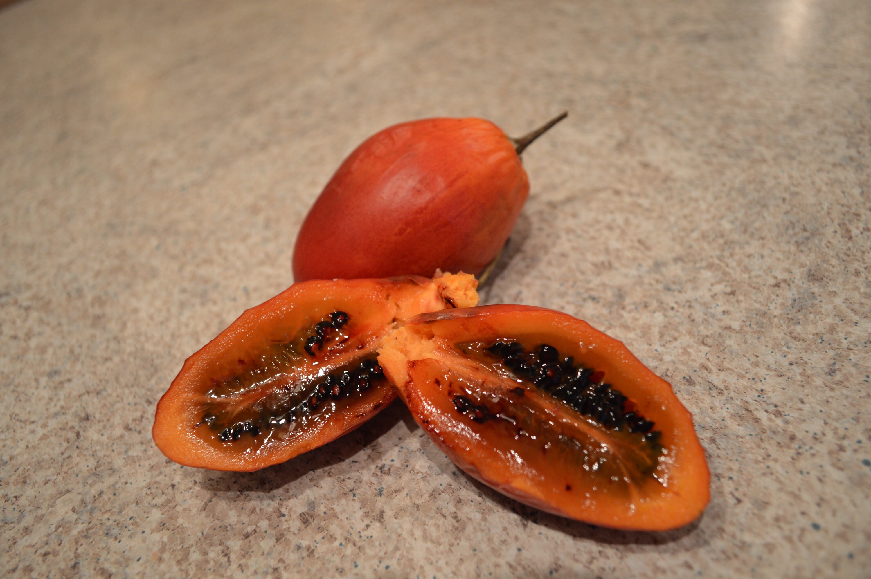 RED TAMARILLO SEEDS Solanum betaceum 'Red' 20 Tree Tomato Edible Fast Growing RED TAMARILLO SEEDS Solanum betaceum 'Red' 20 Tree Tomato Edible Fast Growing