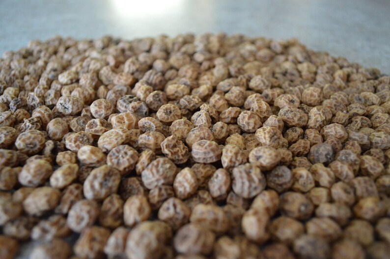 Tiger Nut Seeds/tubers Cyperus Esculentus Organic Etsy
