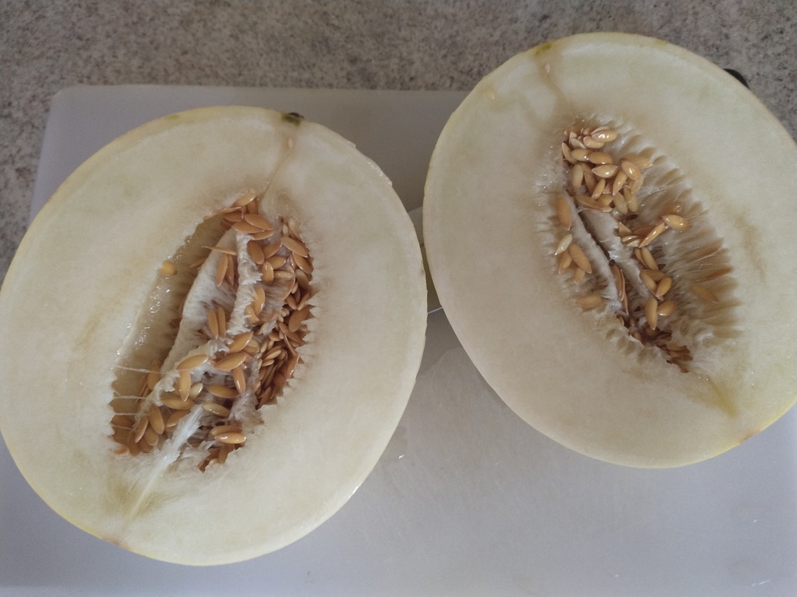 Dino Melon Seeds Cucumis Melo dino Etsy