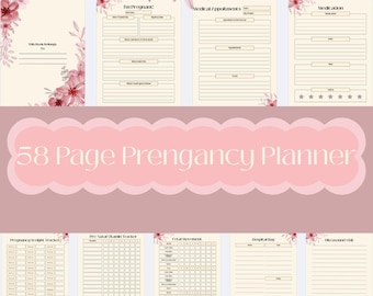All in One Pregnancy Planner