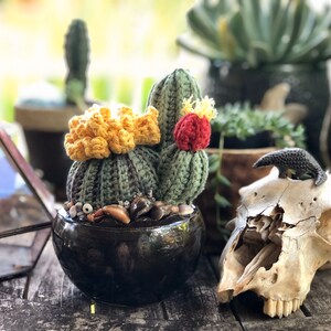 Crochet Cactus Trio
