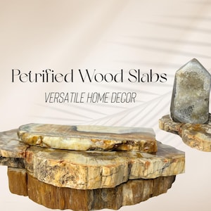 May include: Petrified wood slabs in shades of brown, tan, and cream, arranged in a layered display. A crystal and a sphere sit atop a slab. Text reads "Petrified Wood Slabs VERSATILE HOME DECOR".