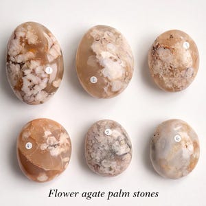 May include: Six oval flower agate palm stones with varying patterns of white, brown, and tan. The stones are numbered 1 through 6. The text "Flower agate palm stones" is at the bottom of the image.