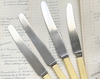 Vintage Celluloid Knives, Set of 4 Mismatched Knife Set, Farmhouse Flatware, Sheffield Stainless