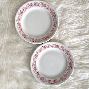 May include: Two white ceramic plates with a red floral border. The plates are round and have a simple, elegant design. The plates are on a white, fluffy surface.