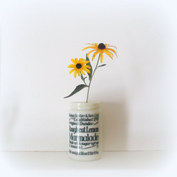 Verre de lait de Dundee marmelade pot James Keiller & fils Jarre rustique cuisine décor Vase Grange mariage
