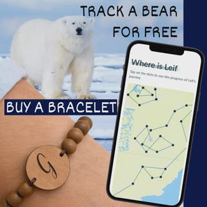 Pode incluir: Uma pulseira de madeira com um pingente redondo gravado com a letra "G" é exibida. A imagem também mostra um urso polar, um smartphone exibindo um mapa e o texto "TRACK A BEAR FOR FREE" e "BUY A BRACELET". A tela do telefone diz "Where is Leif".