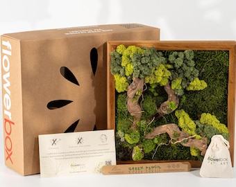 Preserved Moss Wall Art: Driftwood & Lichen in Wooden Frame 12” x 12”