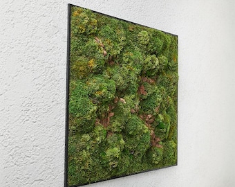 Large Moss Wall Art Panel: Preserved Botanical Design in Wood Frame, 39" Eco-Friendly Decor
