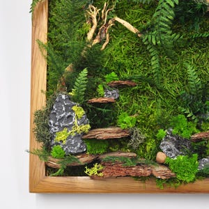 Art mural en mousse naturelle | Cadre en bois 12 x 12 po avec pierres, écorce et branches | Décor botanique | Panneau mural éco-rustique inspiré de la nature