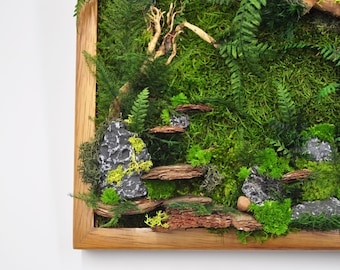 Könnte beinhalten: Ein gerahmtes Moos-Wandbild mit einem Holzrahmen. Das Moos ist grün und es gibt kleine Steine und Äste im gesamten Bild.