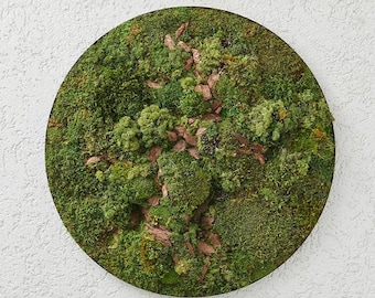 Round Moss Wall Art: 28" Preserved Greenery Circle